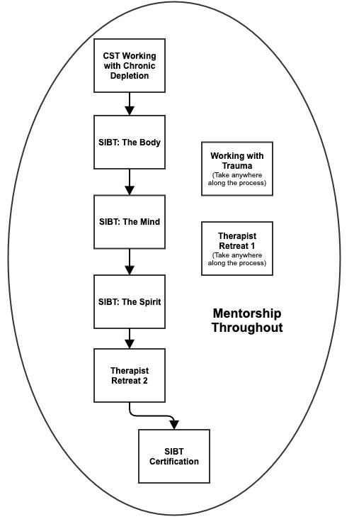 systems-informed-bodymind-therapy-certification